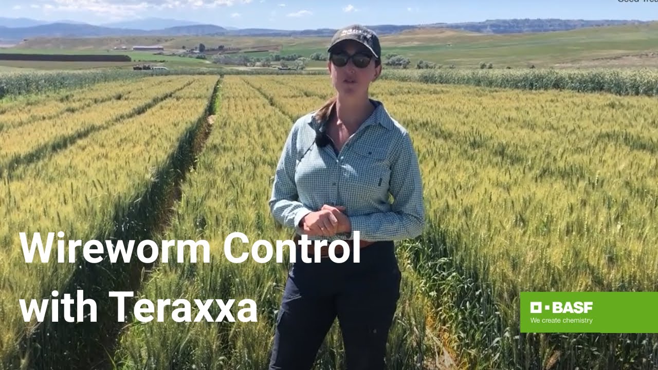 Understanding the Impact and Benefits of Reddy Anna ID: A Comprehensive Overview